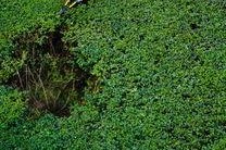 cao国产,历史、文化与现代发展的交融画卷